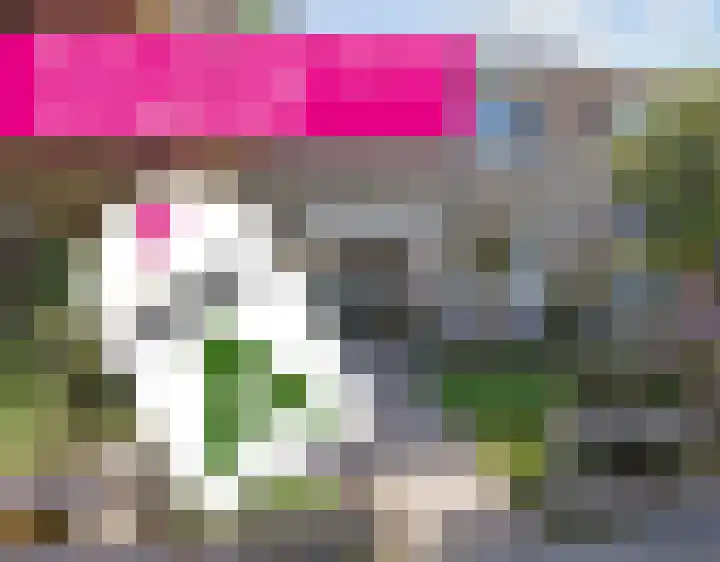 De Lysterfanger 5 Oudemirdum thumbnail 57