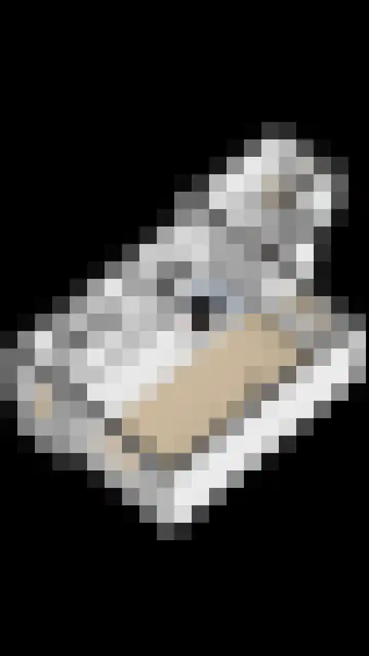De Lysterfanger 5 Oudemirdum thumbnail 59