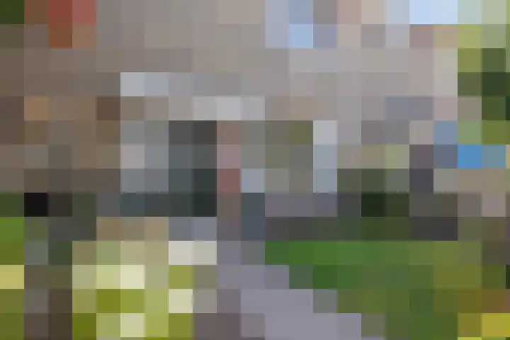 De Lysterfanger 5 Oudemirdum thumbnail 6