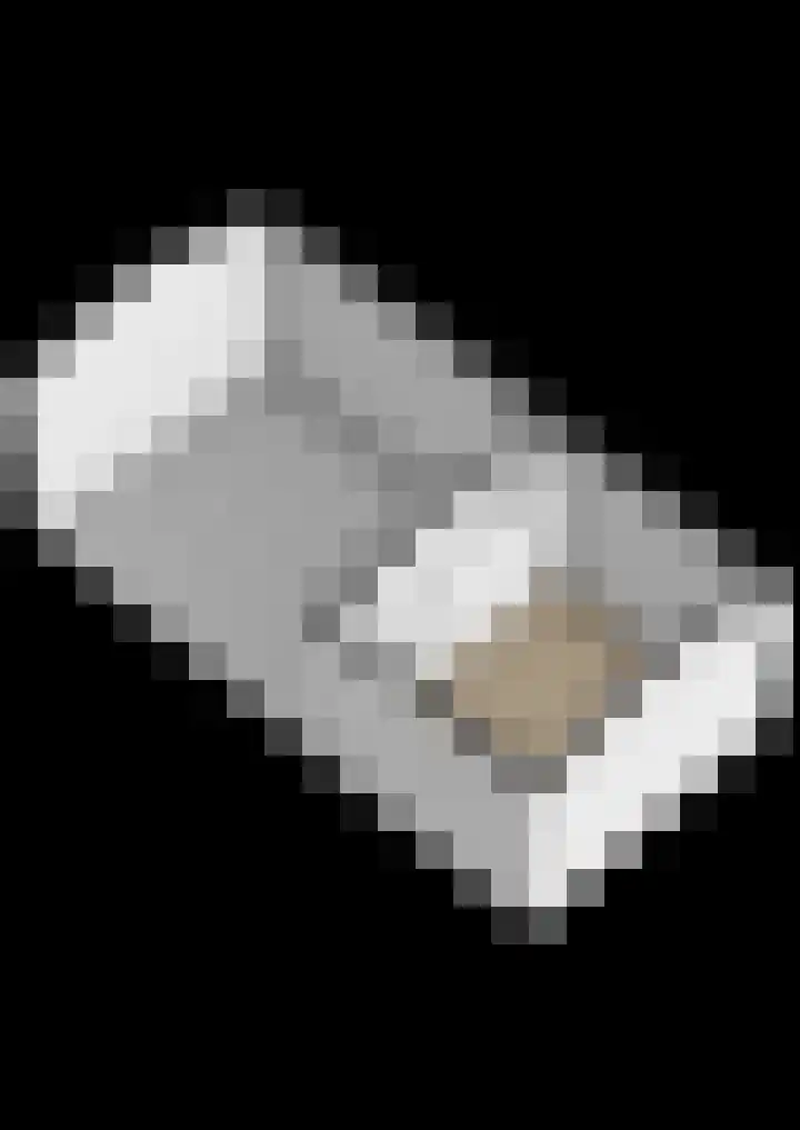 De Lysterfanger 5 Oudemirdum thumbnail 65