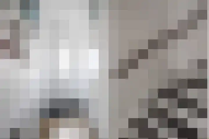 De Lysterfanger 5 Oudemirdum thumbnail 7