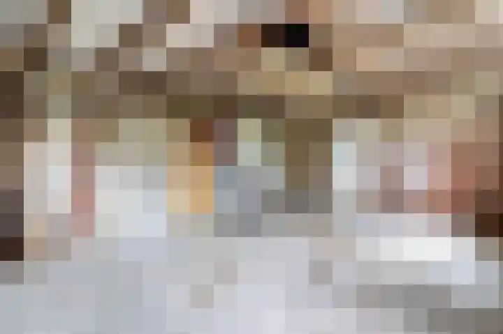 De Lyts Ein 17 Easternijtsjerk thumbnail 39