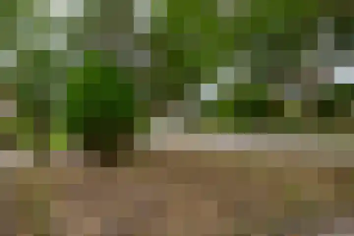 De Lyts Ein 17 Easternijtsjerk thumbnail 42