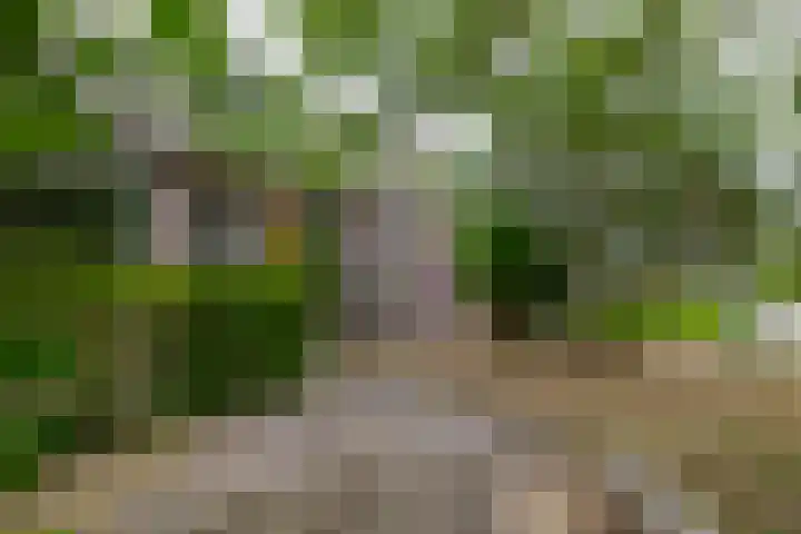 De Lyts Ein 17 Easternijtsjerk thumbnail 43