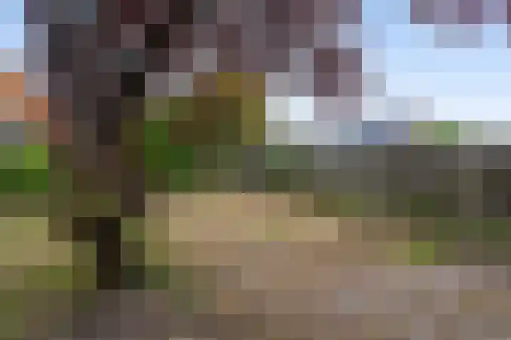 De Lyts Ein 17 Easternijtsjerk thumbnail 44