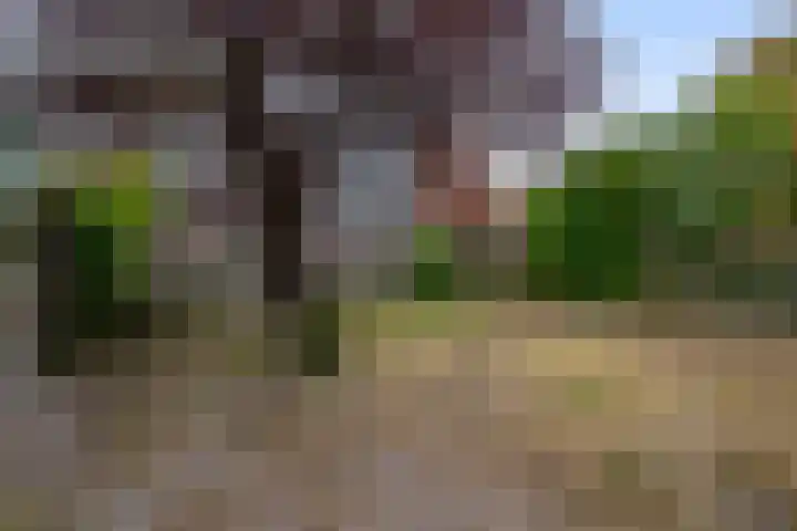 De Lyts Ein 17 Easternijtsjerk thumbnail 47