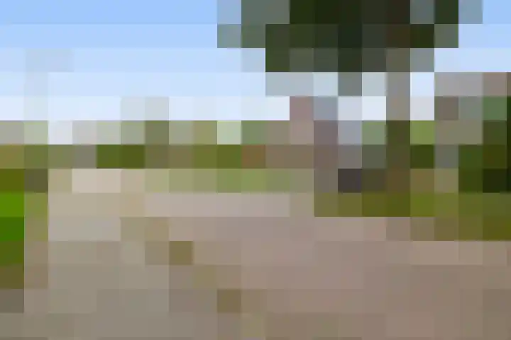 De Lyts Ein 17 Easternijtsjerk thumbnail 48