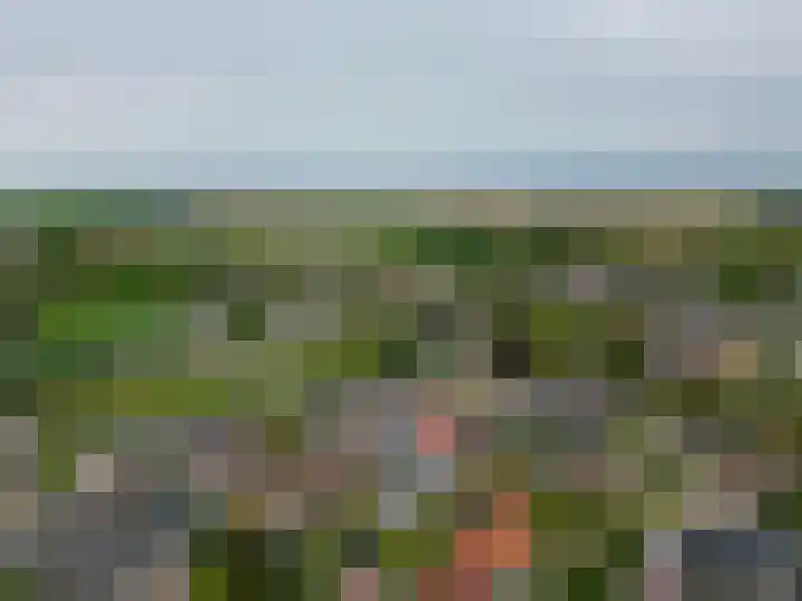 De Lyts Ein 17 Easternijtsjerk thumbnail 50