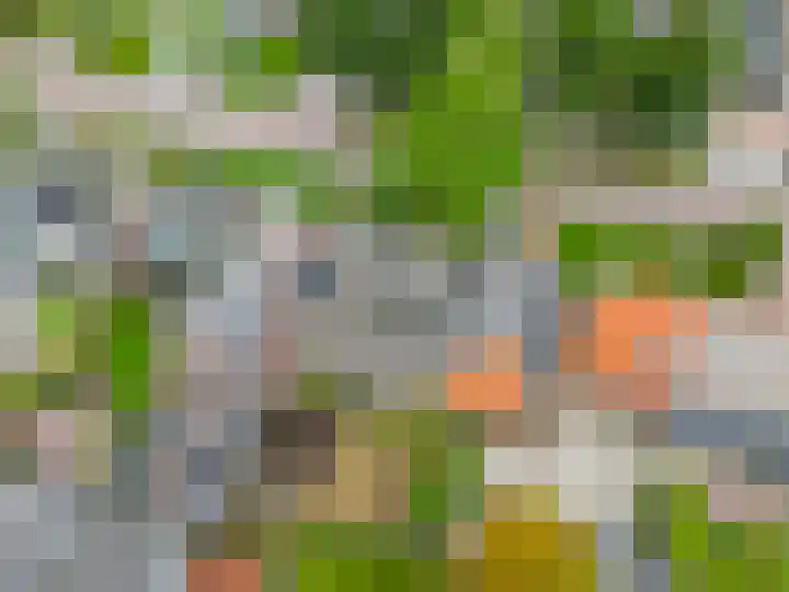 De Lyts Ein 17 Easternijtsjerk thumbnail 51