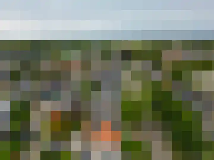 De Lyts Ein 17 Easternijtsjerk thumbnail 52