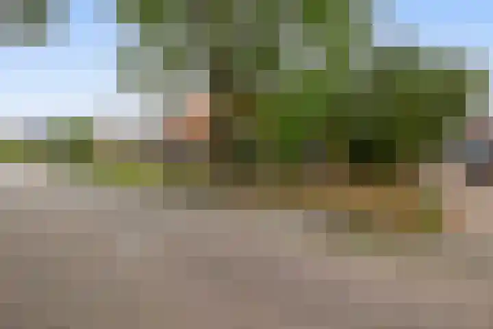 De Lyts Ein 17 Easternijtsjerk thumbnail 6