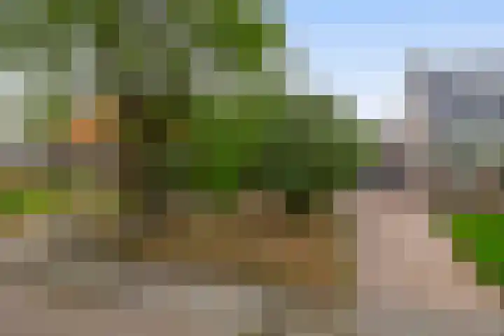 De Lyts Ein 17 Easternijtsjerk thumbnail 7