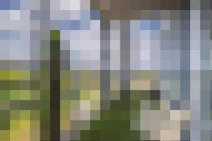 De Maaidorser 17 1 Arnhem thumbnail 25