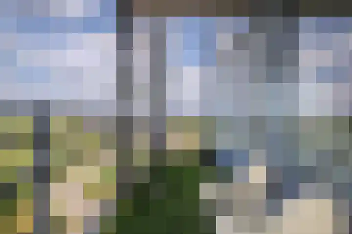 De Maaidorser 17 1 Arnhem thumbnail 26