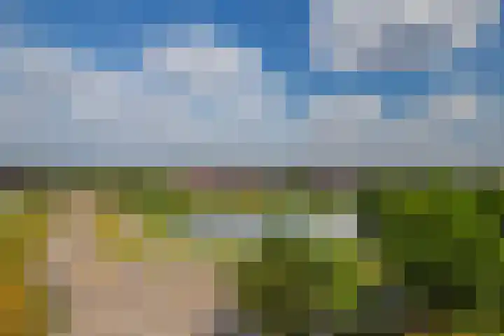 De Maaidorser 17 1 Arnhem thumbnail 27