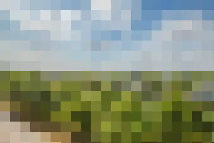 De Maaidorser 17 1 Arnhem thumbnail 28