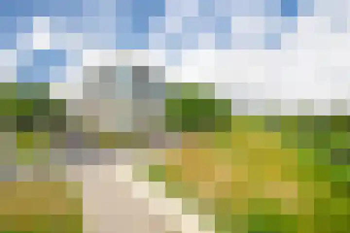De Maaidorser 17 1 Arnhem thumbnail 4