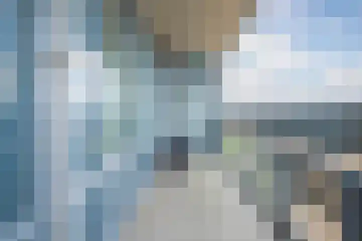 De Maaidorser 17 1 Arnhem thumbnail 7