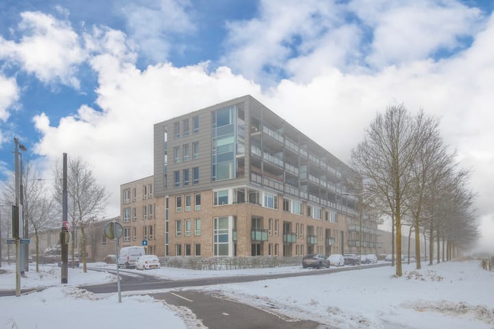 De Maaidorser 3 dans Arnhem photo