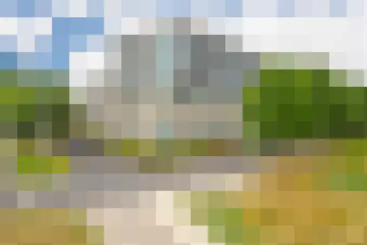 De Maaidorser 3 Arnhem thumbnail 21
