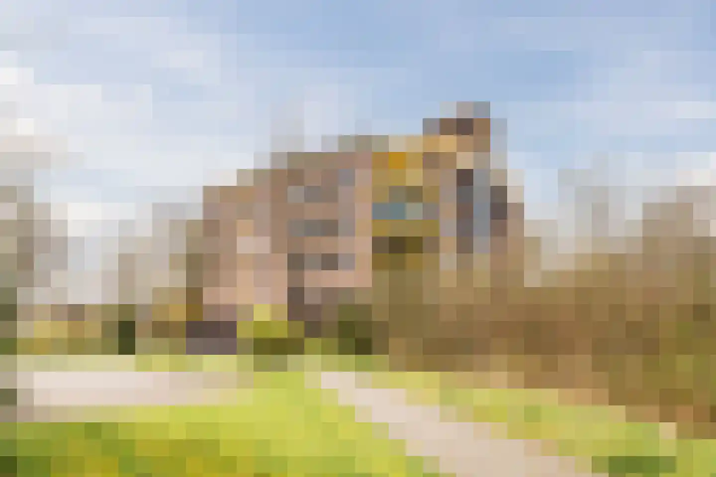 De Maaier 117 Hoogeveen thumbnail 38
