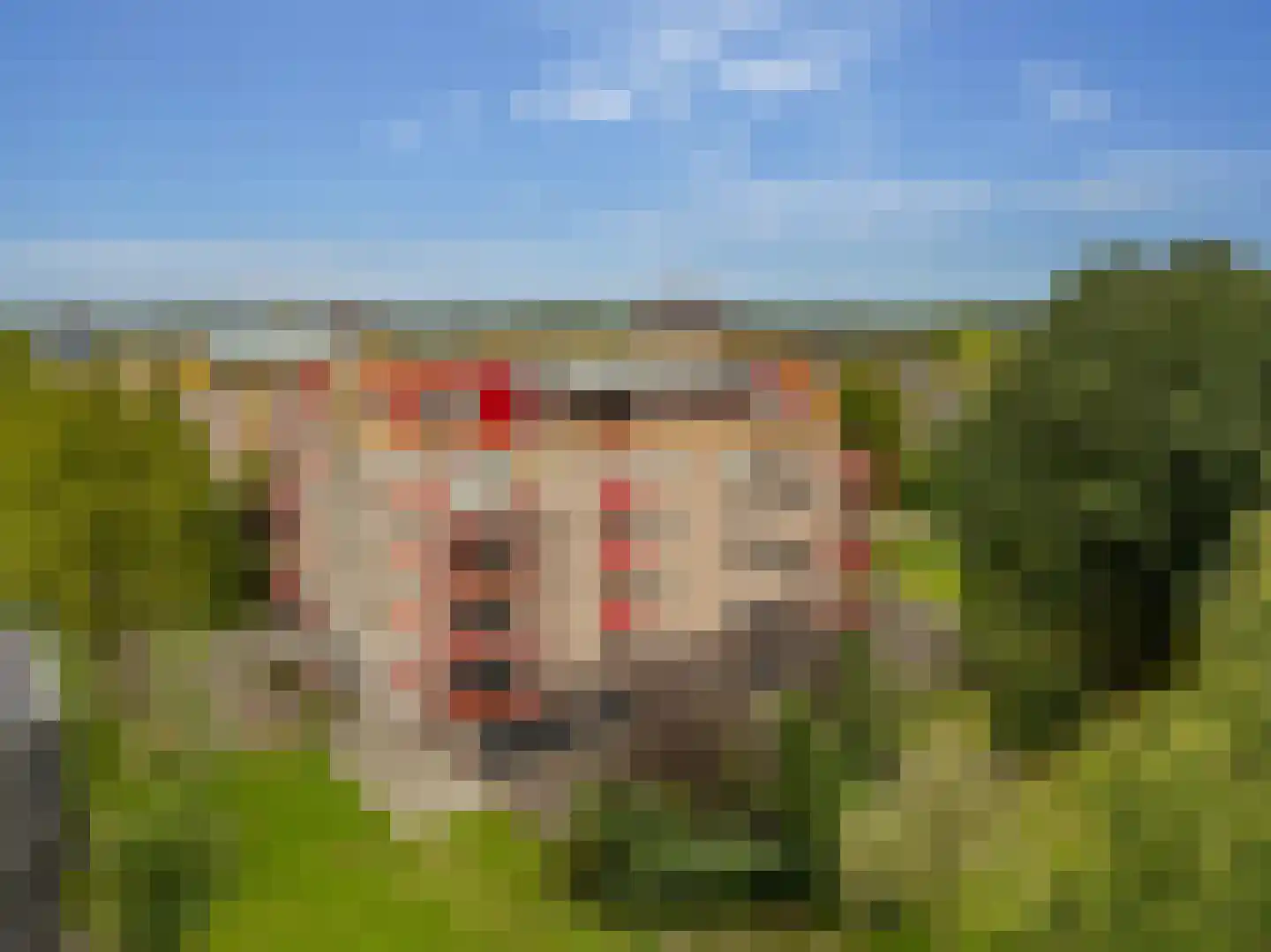 De Maaier 185 in Hoogeveen