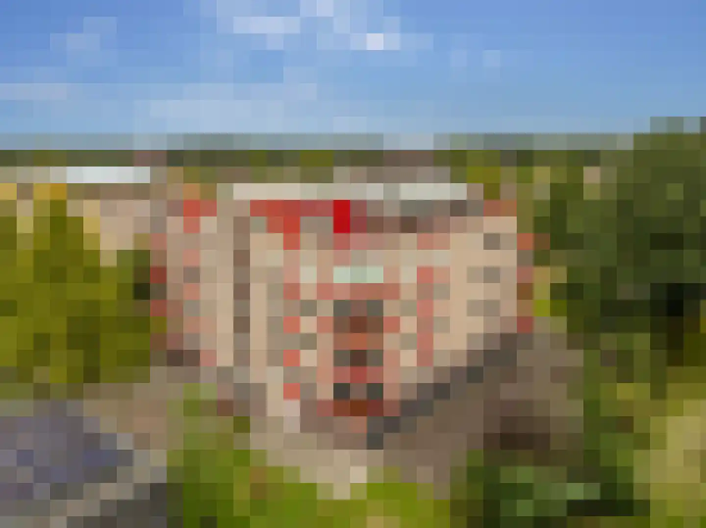 De Maaier 185 Hoogeveen thumbnail 59