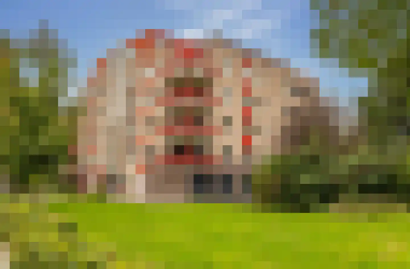 De Maaier 185 Hoogeveen thumbnail 62