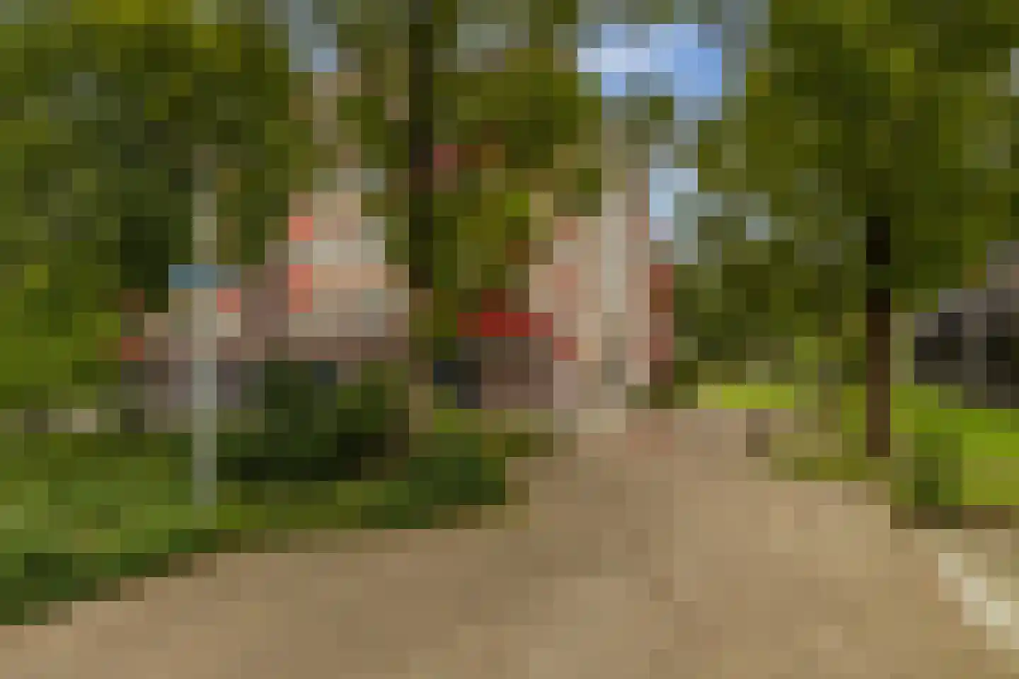 De Maaier 185 Hoogeveen thumbnail 64