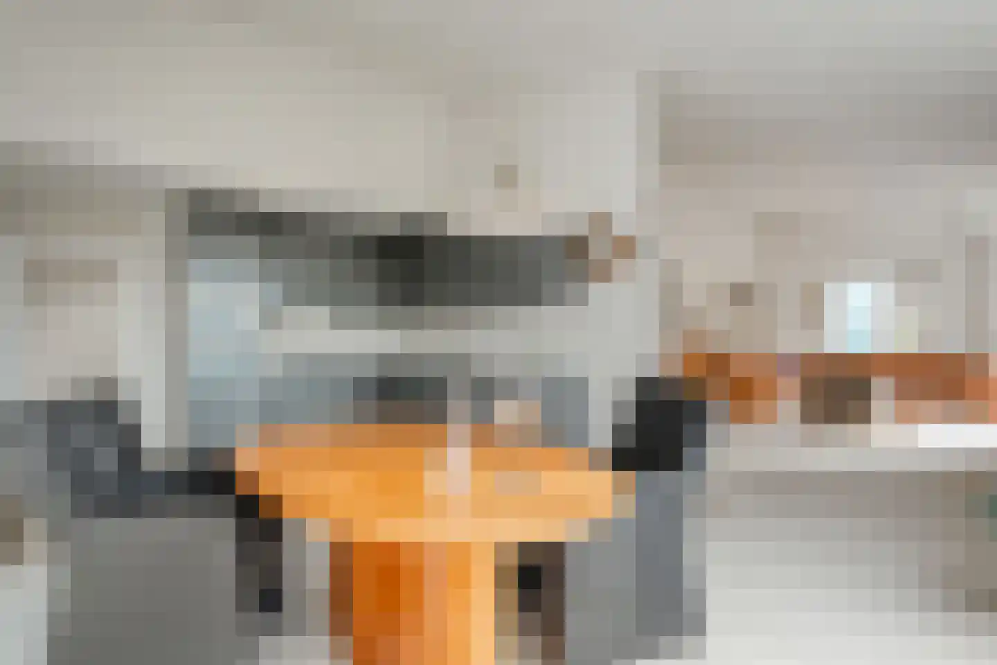 De Maaier 33 Hoogeveen thumbnail 22