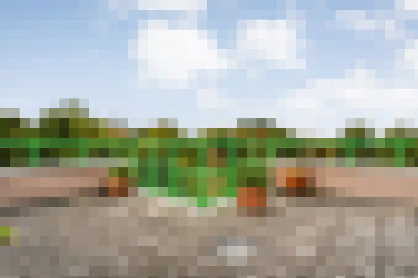 De Maaier 33 Hoogeveen thumbnail 40