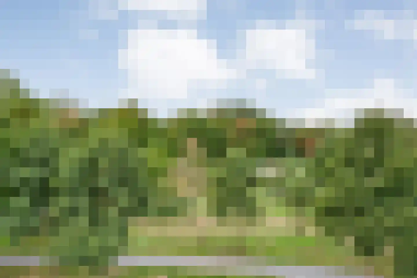 De Maaier 33 Hoogeveen thumbnail 42