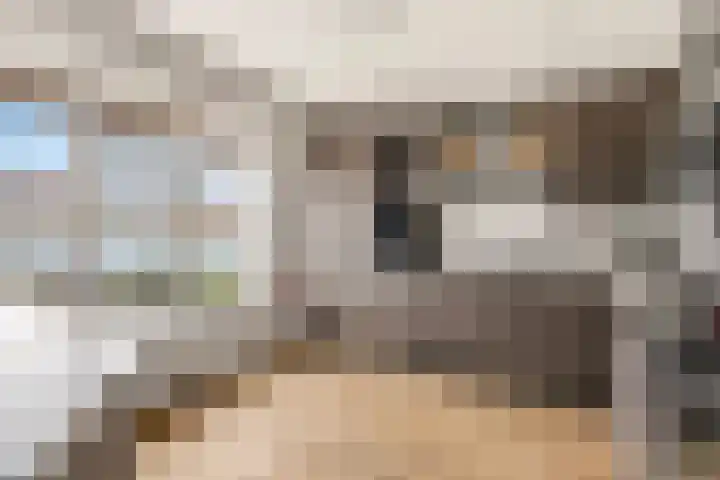 De Maalkom 29 Ouderkerk aan de Amstel thumbnail 13