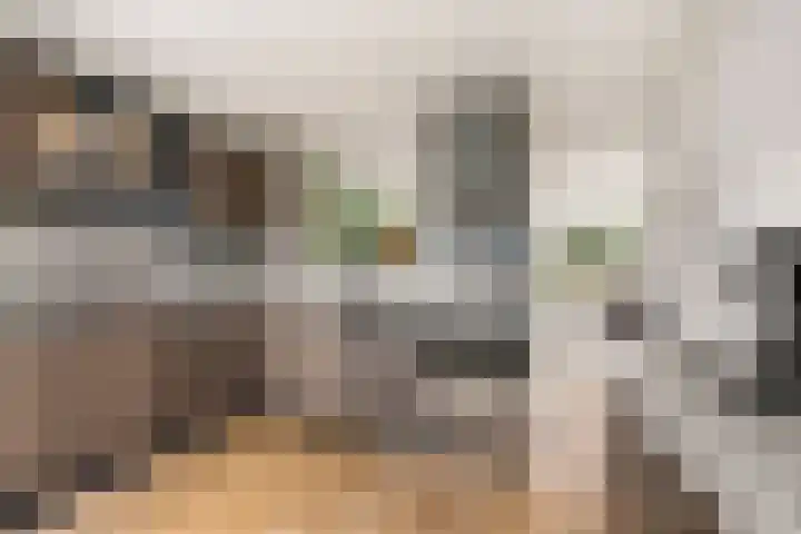 De Maalkom 29 Ouderkerk aan de Amstel thumbnail 14