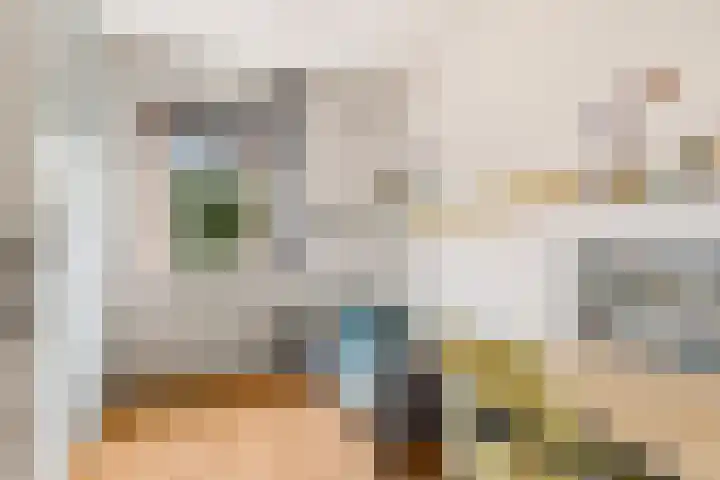 De Maalkom 29 Ouderkerk aan de Amstel thumbnail 26