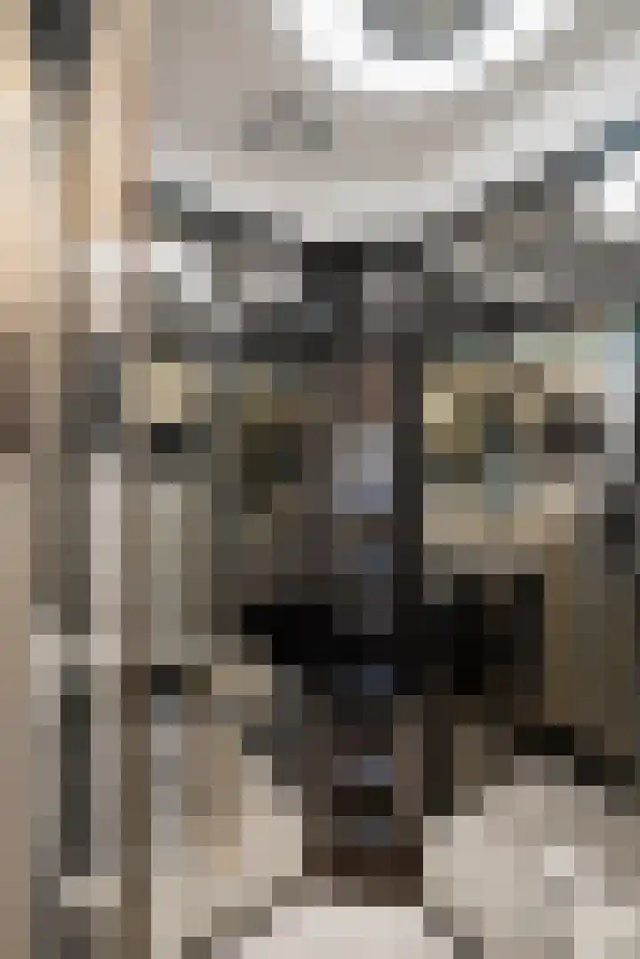 De Maalkom 29 Ouderkerk aan de Amstel thumbnail 29