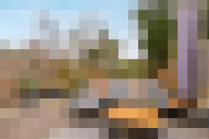 De Maalkom 29 Ouderkerk aan de Amstel thumbnail 37