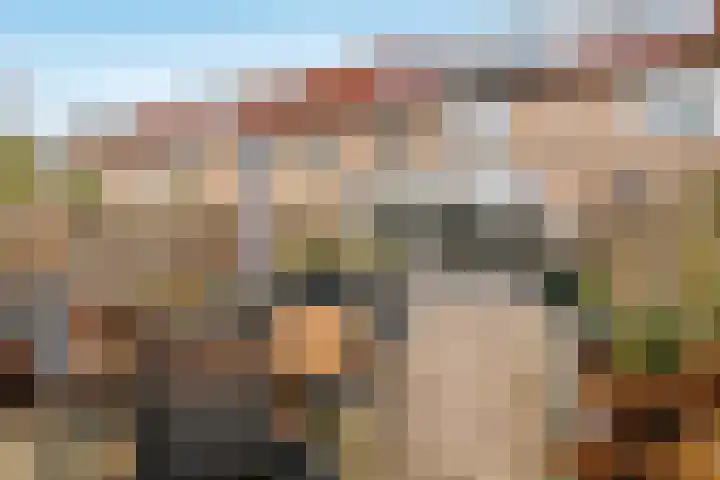 De Maalkom 29 Ouderkerk aan de Amstel thumbnail 39