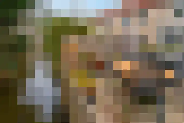 De Maalkom 29 Ouderkerk aan de Amstel thumbnail 40