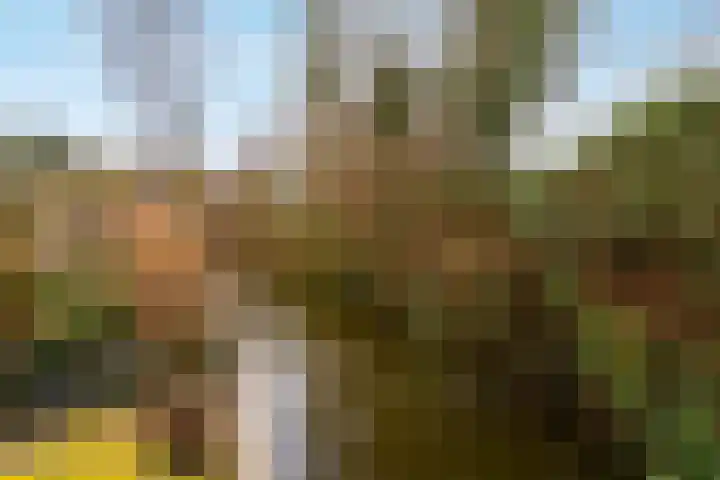 De Maalkom 29 Ouderkerk aan de Amstel thumbnail 41
