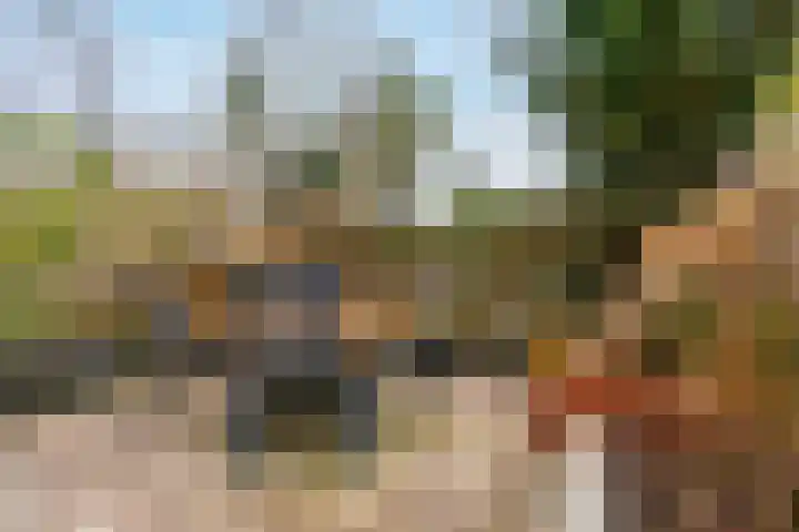 De Maalkom 29 Ouderkerk aan de Amstel thumbnail 42