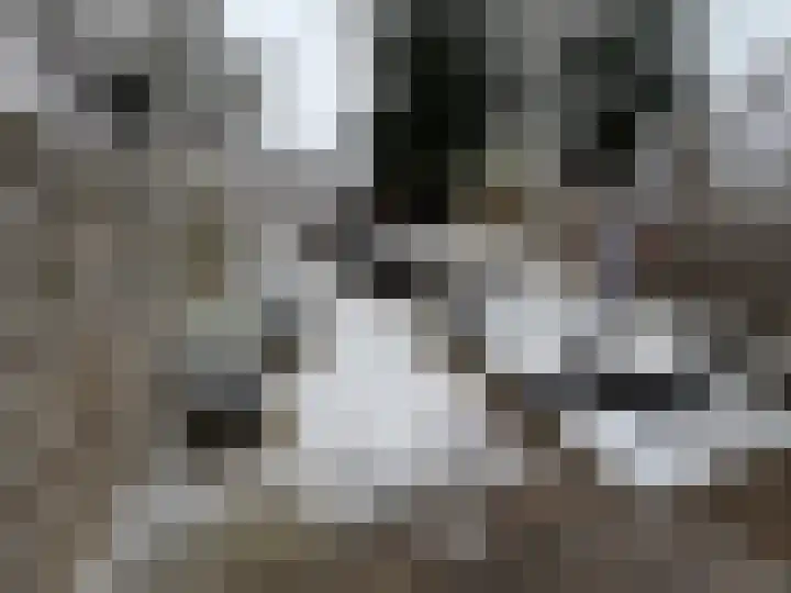 De Maalkom 29 Ouderkerk aan de Amstel thumbnail 43