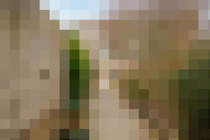 De Maalkom 29 Ouderkerk aan de Amstel thumbnail 46