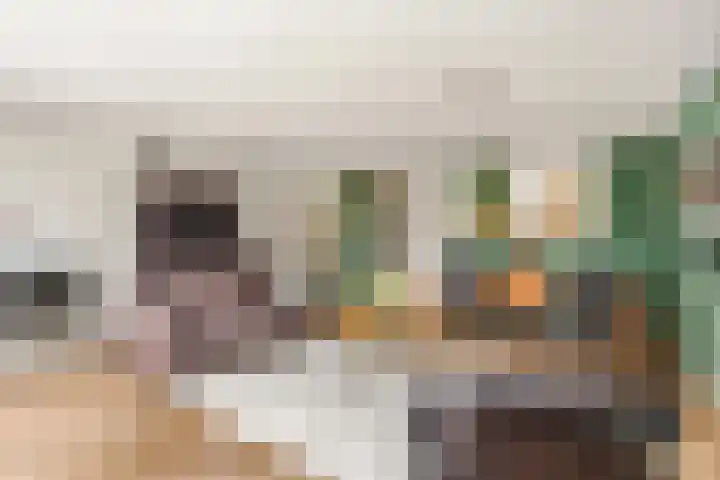 De Maalkom 29 Ouderkerk aan de Amstel thumbnail 5