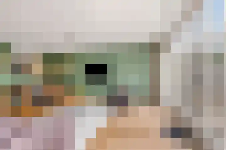 De Maalkom 29 Ouderkerk aan de Amstel thumbnail 6