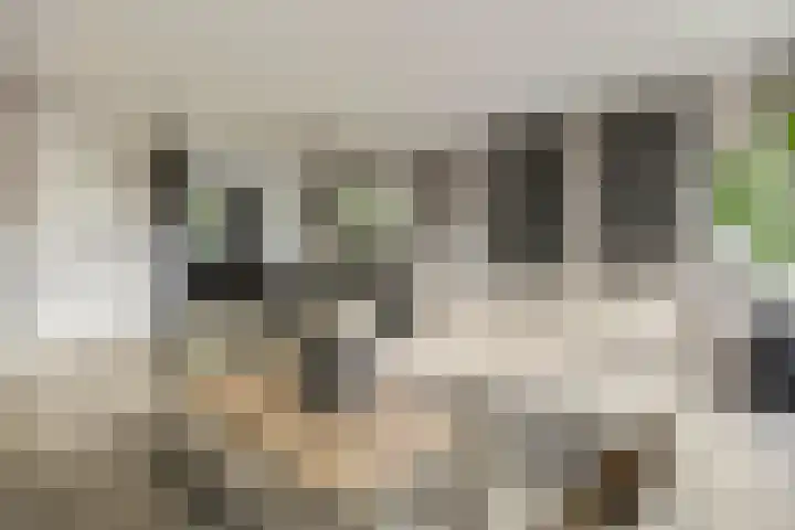 De Maalsteen 10 Kootwijkerbroek thumbnail 11