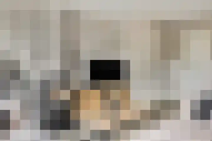 De Maalsteen 10 Kootwijkerbroek thumbnail 12