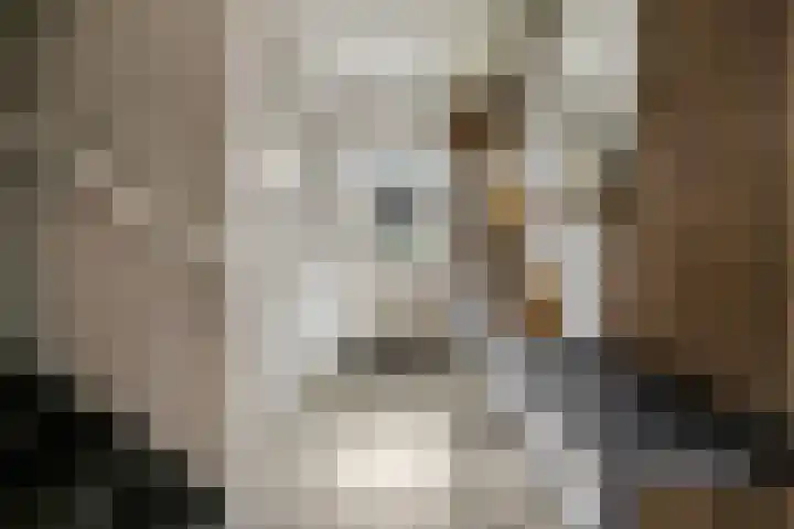 De Maalsteen 10 Kootwijkerbroek thumbnail 18