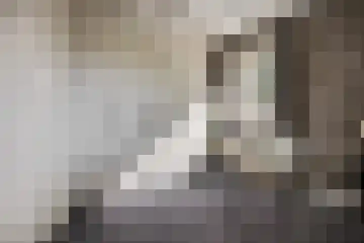 De Maalsteen 10 Kootwijkerbroek thumbnail 21
