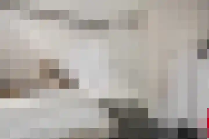 De Maalsteen 10 Kootwijkerbroek thumbnail 34